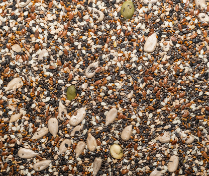 Mixed Seeds