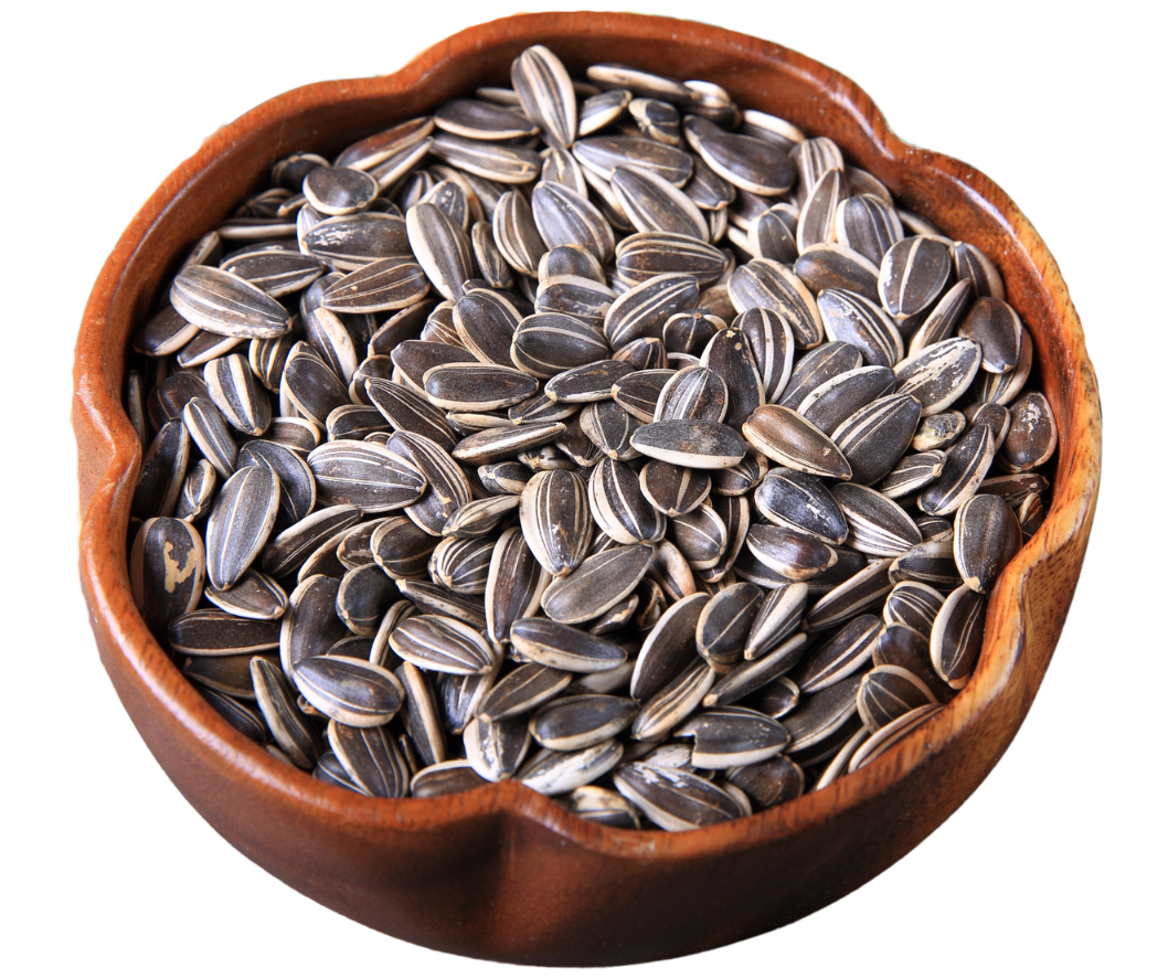 Sunflower Seeds- - সূর্যমুখীর বীজ