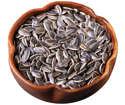 Sunflower Seeds- - সূর্যমুখীর বীজ