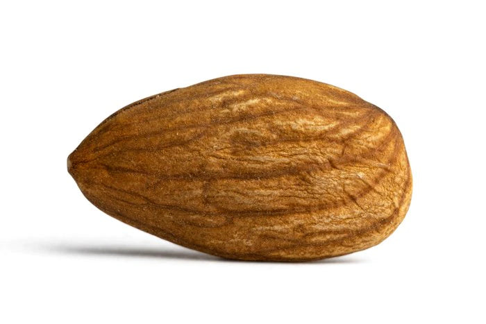 Single almond nut on a white background