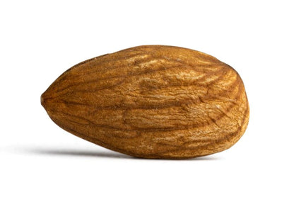 Single almond nut on a white background